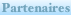 shapeimage_11_link_0